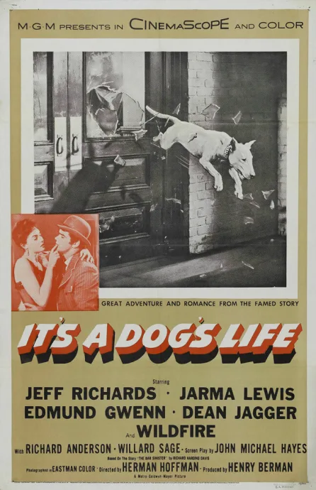 It’s a Dog’s Life (1955)