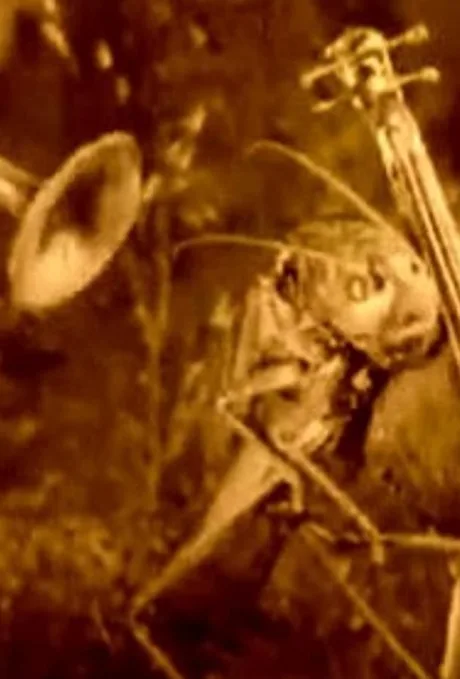 Веселые сценки из жизни животных (1912)