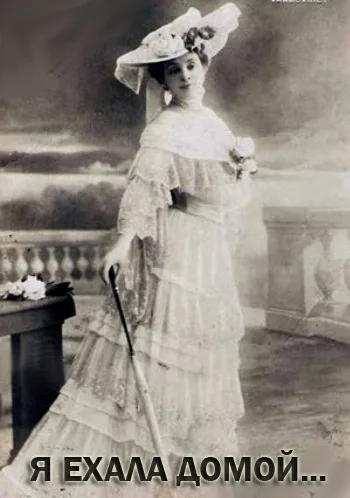 Я ехала домой (сериал 2009)