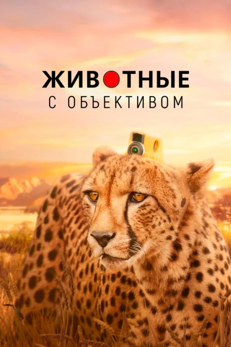 Животные с объективом (сериал 2018)